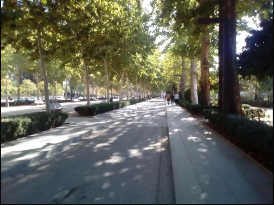 Ferienwohnung Hogar Del Lirio Granada Exterior foto